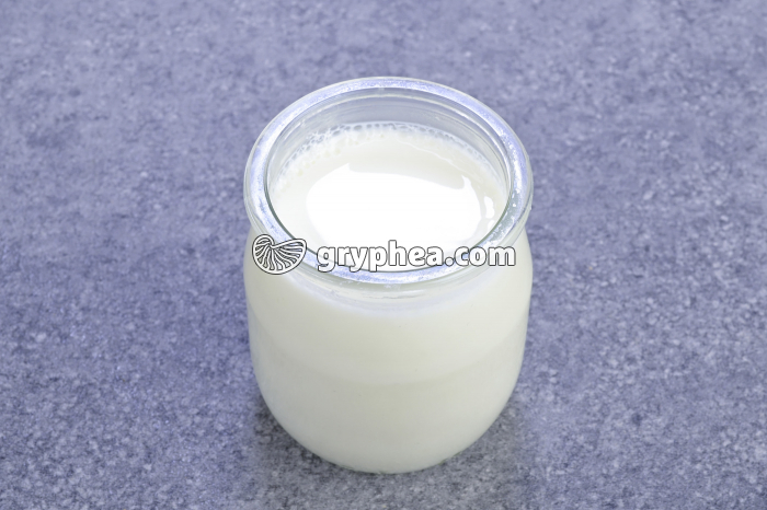 Un lait fermenté - le yaourt - gryphea.com